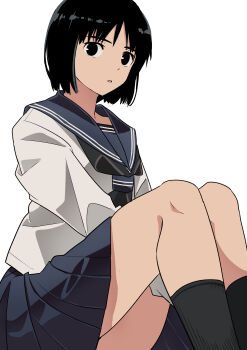 Rule 34 | 1girl, absurdres, black eyes, black hair, blue sailor collar, commentary request, haida katsuretsu, highres, long sleeves, looking at viewer, neckerchief, original, pleated skirt, sailor collar, school uniform, serafuku, shirt, short hair, sitting, skirt, socks, solo, white background