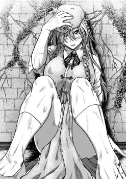 1girl beret blush braid brick_wall china_dress chinese_clothes collared_shirt dress greyscale hair_over_one_eye hand_on_own_hat hat hat_ornament highres hong_meiling koyubi_(littlefinger1988) long_hair monochrome neck_ribbon on_wall pants plant ribbon scar shirt shoes sitting sleeves_rolled_up solo star_(symbol) star_hat_ornament touhou twin_braids vines