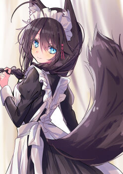 1girl absurdres ahoge alternate_costume animal_ears apron black_dress black_hair blue_eyes blush braid breasts curtains dress enmaided frills hair_flaps hair_ornament hair_over_shoulder hair_ribbon highres hizaka indoors kantai_collection long_hair looking_at_viewer looking_back maid maid_apron maid_headdress ribbon shigure_(kancolle) shigure_kai_ni_(kancolle) single_braid smile solo tail white_apron wolf_ears wolf_tail
