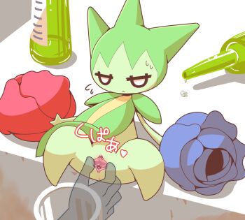 1girl anus blank_eyes blue_flower blue_rose bottle clitoris closed_mouth colored_skin crepix cup disembodied_hand drinking_glass female_focus flower flying_sweatdrops full_body gen_3_pokemon green_skin half-closed_eyes japanese_text jitome large_variant_set leaning_back monster_girl nintendo no_feet plant_girl pokemon pokemon_(creature) pussy pussy_juice red_flower red_rose rose roselia_(pokemon) sitting solo_focus spread_legs spread_pussy spreading_another&#039;s_pussy sweat translation_request uncensored urethra variant_set white_eyes