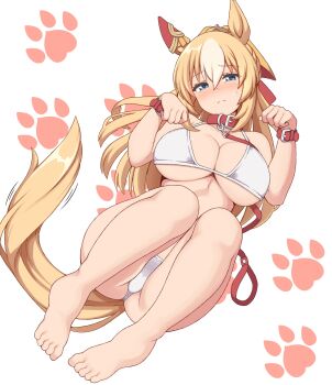 1girl absurdres animal_collar animal_ears barefoot bikini blonde_hair blue_eyes blush breasts cleavage closed_mouth collar commentary_request durandal_(umamusume) ear_covers feet full_body hair_between_eyes hakutaqanta highres horse_ears horse_girl horse_tail large_breasts leash legs looking_at_viewer nose_blush on_bed paw_print pet_play red_collar simple_background single_ear_cover solo sweat swimsuit tail thighs toes umamusume white_background white_bikini white_streaks yellow_tail