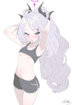 1girl absurdres ahoge blue_archive breasts halo highres hina_(blue_archive) long_hair looking_at_viewer navel ponytail purple_eyes runarie simple_background small_breasts solo standing very_long_hair white_background white_hair