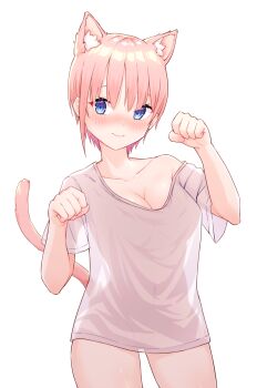 1girl animal_ear_fluff animal_ears blue_eyes blush breasts cat_ears cat_tail cleavage closed_mouth collarbone commentary covered_navel go-toubun_no_hanayome hair_between_eyes hands_up highres large_breasts looking_at_viewer nakano_ichika naked_shirt nose_blush paw_pose pink_hair profnote see-through_clothes see-through_silhouette shirt short_hair short_sleeves simple_background single_bare_shoulder solo symbol-only_commentary tail tail_raised thighs white_shirt
