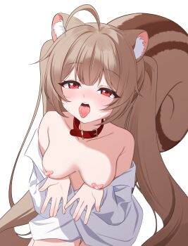 1girl absurdres ahoge animal_collar animal_ears areola_slip bandaid bandaids_on_nipples breasts brown_hair buckle character_request collar commentary_request copyright_request crossed_bandaids double-parted_bangs hands_up highres korean_commentary large_breasts large_variant_set long_hair long_sleeves looking_at_viewer nya_po open_hands open_mouth pasties pov red_collar red_eyes shirt shirt_partially_removed simple_background solo squirrel_ears squirrel_girl squirrel_tail sweat tail tongue tongue_out twintails variant_set very_long_hair virtual_youtuber white_background white_shirt