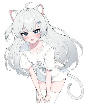 1girl ahoge animal_ear_fluff animal_ears blue_eyes blush collarbone commentary cowboy_shot fang fish_hair_ornament grey_hair hair_ornament hands_on_own_thighs highres indie_virtual_youtuber leaning_forward long_hair metaljelly nachu_(vtuber) shirt short_sleeves sidelocks simple_background t-shirt tail text_print thighhighs thighs virtual_youtuber white_background white_shirt white_thighhighs