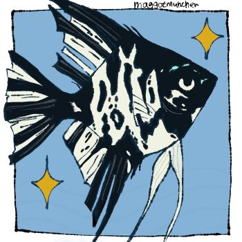 Rule 34 | angelfish, animal focus, blue background, border, fish, from side, full body, highres, maggotmuncher0, no humans, original, sparkle, white border