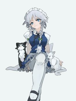 1girl absurdres apron black_cat black_ribbon black_shoes blue_dress bow braid braided_sidelock breasts cat commentary crossed_legs dantuodayo dress foreshortening green_bow grey_hair hair_bow highres invisible_chair izayoi_sakuya looking_ahead maid maid_apron maid_headdress medium_breasts neck_ribbon pinafore_dress puffy_short_sleeves puffy_sleeves ribbon shirt shoes short_hair short_sleeves simple_background sitting sleeveless sleeveless_dress smile solo thighhighs touhou twin_braids waist_apron white_apron white_background white_cat white_shirt white_thighhighs
