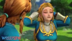 1boy 1girl 3d animated audible_speech blue_shirt breasts english_audio english_text bad_tag hand_over_eye hand_over_eyes hands_on_own_face imminent_anal imminent_penetration link long_hair medium_breasts nintendo pointy_ears presenting princess_zelda shirt sigh sound source_filmmaker_(medium) subtitled tagme teasing the_legend_of_zelda the_legend_of_zelda:_breath_of_the_wild to_be_continued video woozysfm