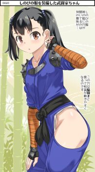 Rule 34 | 1girl, armor, bamboo, black hair, brown eyes, collarbone, dragon quest, dragon quest iii, martial artist (dq3), fingerless gloves, gloves, hair bobbles, hair ornament, imaichi, japanese clothes, long hair, looking at viewer, ninja, short twintails, shoulder armor, solo, twintails