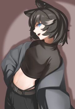 Rule 34 | 1girl, absurdres, animal ear piercing, animal ears, belt, belt buckle, black belt, black hair, black jacket, black pants, black shirt, blue eyes, breasts, brown background, buckle, commentary request, cowboy shot, dog ears, dog girl, fang, grey streaks, highres, itsumeee3, jacket, jacket partially removed, kmnz, long sleeves, looking at viewer, midriff, multicolored hair, navel, nero (kmnz), open mouth, pants, shirt, short hair, small breasts, smile, solo, streaked hair, virtual youtuber
