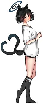 1girl absurdres alternate_costume animal_ear_fluff animal_ears black_eyes black_hair black_shorts black_socks blue_archive blush cat_ears cat_girl cat_tail closed_mouth commentary_request dolphin_shorts highres kikyou_(blue_archive) kin_bbum kneehighs korean_commentary multiple_tails shirt short_hair short_shorts short_sleeves shorts socks solo t-shirt tail two_tails white_shirt