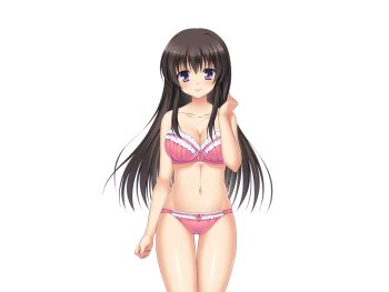1girl aomi_riru black_hair blush bra breasts cleavage closed_mouth collarbone cowboy_shot game_asset hair_between_eyes hand_in_own_hair hand_up large_breasts large_variant_set long_hair long_sidelocks looking_at_viewer mikami_juri navel non-web_source official_art panties pink_bra pink_panties purple_eyes self-datamine sidelocks simple_background smile solo standing tachi-e transparent_background underwear underwear_only variant_set yumemi_ga_cheek!