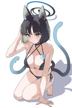 Rule 34 | 1girl, absurdres, animal ears, bikini, black tail, blue archive, blue bikini, blue halo, blue tail, breasts, cat ears, cat girl, cat tail, cleavage, colored inner animal ears, commentary request, criss-cross halter, criss-cross straps, gradient tail, halo, halterneck, highres, kikyou (blue archive), kikyou (swimsuit) (blue archive), layered bikini, medium breasts, multiple tails, side-tie bikini bottom, solo, string bikini, swimsuit, tail, two tails, winterflower