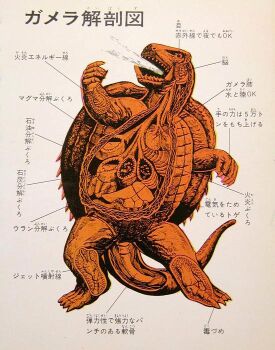 anatomy biology chart cross-section daiei_motion_picture diagram elemental_(creature) energy fire fire_elemental gamera gamera,_the_giant_monster gamera_(series) giant giant_monster heart intestines japanese_text kaiju lungs monochrome monster multiple_stomachs no_humans official_art ohtomo_shoji organs plasma science science_fiction shell stomach tail translation_request turtle turtle_shell tusks x-ray
