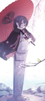 1girl alt_(apou) bird black_cape blunt_ends bow branch cape commentary_request double-parted_bangs floral_print floral_print_kimono full_body hair_bow highres holding holding_umbrella japanese_clothes kimono long_sleeves looking_at_animal looking_down obi obiage oil-paper_umbrella original outdoors parted_lips print_kimono purple_eyes purple_hair red_bow sandals sash smile solo spring_(season) standing tabi umbrella water white_kimono wide_sleeves yellow_bird zouri