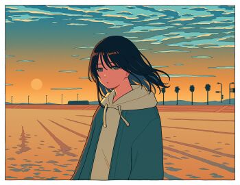 1girl black_hair border cloud commentary hood hood_down hoodie jacket looking_at_viewer open_clothes open_jacket original outdoors palm_tree shi_oo solo tree upper_body white_border