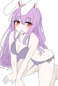 1girl absurdres animal_ears bikini blush breasts cleavage collarbone commentary_request hair_in_own_mouth highres kiui_(dagk8254) large_breasts long_hair looking_at_viewer navel paid_reward_available purple_bikini purple_hair rabbit_ears rabbit_girl red_eyes reisen_udongein_inaba simple_background solo sweat swimsuit touhou very_long_hair white_background