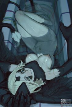 1girl animal_ears black_skin breasts cat_ears cat_tail colored_skin commentary commission cyberpunk english_commentary fake_animal_ears from_above highres looking_at_viewer looking_up medium_breasts navel nipples original pita-potato shiny_skin short_hair smile sphinx tail water white_hair wings