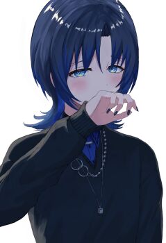 Rule 34 | 1girl, black nails, black sweater, blue eyes, blue hair, blue shirt, collared shirt, hiodoshi ao, hiodoshi ao (1st costume), hololive, hololive dev is, jewelry, looking at viewer, medium hair, necklace, nobume, shirt, solo, sweater, v-neck, virtual youtuber