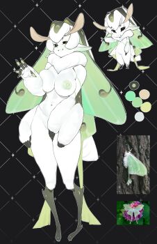 1girl absurdres antennae arthropod_girl black_sclera breasts chibi colored_sclera completely_nude extra_arms fluffy full_body fur_collar grin highres insect_girl insect_wings large_breasts long_hair looking_at_viewer monster_girl moth_antennae moth_girl moth_wings multiple_views navel nipples nude original pita-potato smile standing teeth white_hair wings