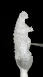 1boy animated audible_music bag beard brown_hair carving claws counter dinosaur facial_hair food godzilla godzilla_(series) kaiju lamp microscope mikhail_myagkkov monster mustache rice sound spikes statue tail toho toothpick video what