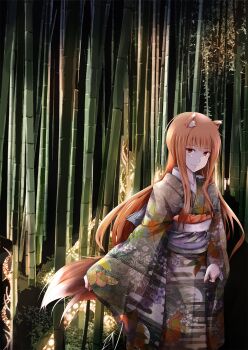 1girl alternate_costume animal_ear_fluff animal_ears bamboo bamboo_forest blush brown_eyes brown_hair closed_mouth eyelashes feet_out_of_frame floral_print floral_print_kimono forest fudo_shin grey_kimono highres holo japanese_clothes kimono long_hair looking_at_viewer nature obi obijime outdoors print_kimono sash sidelocks solo spice_and_wolf tail very_long_hair wide_sleeves wolf_ears wolf_girl wolf_tail