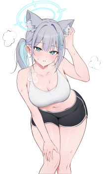 1girl absurdres alternate_breast_size_(larger) animal_ear_fluff animal_ears bare_arms bare_shoulders black_shorts blue_archive blue_eyes breasts cleavage crop_top dolphin_shorts extra_ears feet_out_of_frame grey_hair halo hand_on_own_knee hand_up heart heart-shaped_pupils highres large_breasts leaning_forward long_hair looking_at_viewer midriff mismatched_pupils multicolored_hair navel parted_lips ponytail rable shiroko_(blue_archive) shirt short_shorts shorts simple_background sleeveless sleeveless_shirt solo standing stomach sweat symbol-shaped_pupils thighs two-tone_hair white_background white_shirt wolf_ears