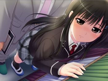 Rule 34 | 1boy, 1girl, bishoujo (game), black hair, black jacket, blazer, blush, brown eyes, closed mouth, collared shirt, game cg, grey jacket, grey pants, grey skirt, hair between eyes, hair ornament, hairclip, holding, indoors, jacket, kneehighs, long hair, long sleeves, miniskirt, necktie, nonohara miki, pants, plaid clothes, plaid skirt, pleated skirt, red necktie, school uniform, shirt, shoes, skirt, socks, solo focus, standing, straight hair, sweatdrop, tachibana kyouka (bishoujo), uwabaki, very long hair, white shirt, wing collar