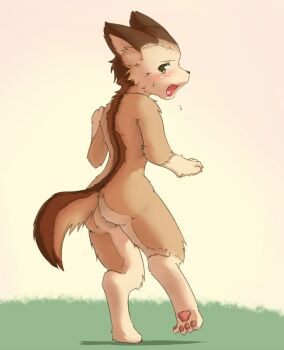 Rule 34 | androgynous, animal ears, animal hands, ass, back, barefoot, blush, fang, feet, furry, gender request, grass, kagerofu, looking back, nude, open mouth, outdoors, pawpads, soles, solo, spread toes, tail, toes, zenra