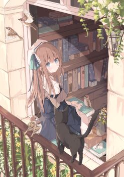 1girl balcony bird black_cat blue_eyes blue_jacket book book_on_lap bookshelf brown_hair cat closed_mouth collared_shirt commentary flower from_outside hat highres jacket kushida_you long_hair looking_at_viewer looking_back off_shoulder original shirt sitting solo white_flower white_hat white_shirt yellow_flower