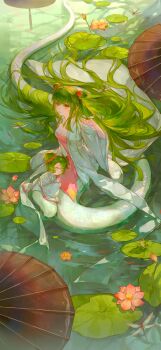 2girls absurdres aoqun bad_source beizi_(clothing) bingbing_bing bug child chinese_clothes chinese_text double_bun dragonfly flower green_hair hair_bun hanfu highres huanyuan_shexian_(roco_kingdom) insect jiaoling_ruqun lamia long_hair lotus monster monster_girl multiple_girls oil-paper_umbrella pond red_eyes roco_kingdom scales she_niangzi_(roco_kingdom) submerged umbrella very_long_hair water