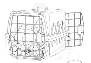 1girl all_fours animal_hands gloves greyscale hair_ribbon monochrome original paw_gloves pet_carrier possummachine ribbon simple_background sketch top-down_bottom-up white_background