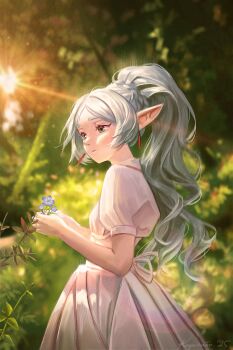 1girl 2025 absurdres artist_name blue_flower blurry blurry_background breasts commentary cowboy_shot dress earrings elf english_commentary flower forget-me-not_(flower) frieren green_eyes grey_hair highres holding holding_flower jewelry long_hair milgtea outdoors parted_bangs pointy_ears ponytail puffy_short_sleeves puffy_sleeves short_sleeves small_breasts solo sousou_no_frieren sunlight thick_eyebrows white_dress