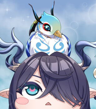 1girl absurdres animal animal_on_head antlers bird bird_on_head blue_bird blue_eyes blush_stickers chinese_commentary close-up cloud_retainer_(genshin_impact) commentary_request dd_che_shen deer_antlers genshin_impact hair_over_one_eye highres horns lauma_(genshin_impact) looking_at_animal looking_up on_head pointy_ears purple_hair solo triangle_mouth xianyun_(genshin_impact)