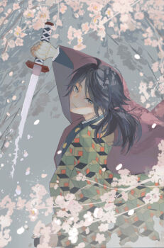 1boy black_hair black_jacket blue_eyes buttons cherry_blossoms closed_mouth commentary_request demon_slayer_uniform gold_buttons haori high_collar highres holding holding_sword holding_weapon ichigosaaaan jacket japanese_clothes katana kikkoumon kimetsu_no_yaiba long_hair looking_at_viewer low_ponytail male_focus ponytail print_haori red_haori solo sword tomioka_giyuu upper_body weapon