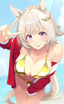 1girl animal_ears bikini blush breasts cleavage collarbone commentary_request curren_chan_(umamusume) fingernails gold_bikini gold_nails grey_hair grey_tail hand_on_own_thigh highres horse_ears horse_girl horse_tail jacket large_breasts leaning_forward looking_at_viewer masaki_shino nail_polish purple_eyes red_jacket short_hair solo swimsuit tail track_jacket umamusume v v-shaped_eyebrows