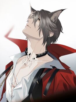 Rule 34 | 1boy, animal ear fluff, animal ears, ark1478, arknights, bishounen, cape, cat boy, cat ears, collarbone, commentary request, grey background, grey hair, hair between eyes, head back, highres, looking up, male focus, material growth, open clothes, oripathy lesion (arknights), parted lips, phantom (arknights), phantom (focus) (arknights), red cape, shirt, short hair, simple background, solo, upper body, white background, white shirt, yellow eyes