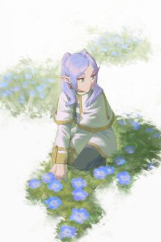 Rule 34 | 1girl, absurdres, black pantyhose, blue flower, capelet, closed mouth, earrings, elf, floating earrings, flower, frieren, grass, green eyes, grey hair, highres, jewelry, long hair, long sleeves, looking to the side, pantyhose, parted bangs, pointy ears, psylduck, shirt, skirt, solo, sousou no frieren, squatting, teardrop earrings, twintails, white capelet, white hair, white shirt, white skirt