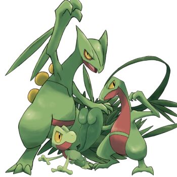 10ma10dantali0n black_eyes colored_sclera evolutionary_line gen_3_pokemon grovyle hands_up nintendo no_humans pokemon pokemon_(creature) sceptile simple_background standing treecko white_background yellow_sclera