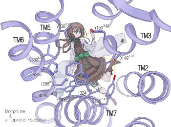 Rule 34 | 1girl, absurdres, ascot, badge, bilingual commentary, biology, boots, brown ascot, brown boots, brown dress, brown hair, button badge, chemical structure, chemistry, chinese commentary, closed mouth, coat, commentary, dress, english commentary, english text, expressionless, floating, frilled boots, frilled dress, frills, full body, green eyes, green ribbon, green scrunchie, hair ribbon, hair rings, high heel boots, high heels, highres, holding, holding coat, holding unworn clothes, jitome, lab coat, lapels, leg ribbon, leg up, long hair, long sleeves, mini person, mixed-language commentary, morphine (phonetik), multicolored hair, notched lapels, open clothes, open coat, original, personification, phonetik, ribbon, science, scrunchie, simple background, sleeves rolled up, solo, streaked hair, turtleneck, unworn coat, white background, white coat