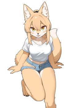 1girl animal_ear_fluff animal_ears animal_feet animal_nose blush body_fur fox_ears fox_girl fox_tail furry furry_female hair_between_eyes highres invisible_chair jeifier_(korfiorano01) midriff navel open_mouth orange_fur original shirt short_shorts shorts sitting solo tail thighs torn_clothes torn_shorts white_fur white_shirt yellow_eyes