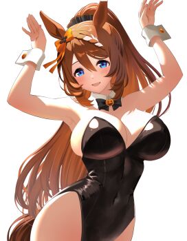 1girl absurdres alternate_hairstyle animal_ears black_bow black_bowtie black_leotard blue_eyes blush bow bowtie braid breasts brown_hair cleavage commentary_request covered_navel detached_collar ear_bow hair_between_eyes highleg highleg_leotard highres horse_ears horse_girl horse_tail large_breasts leotard long_hair looking_at_viewer multicolored_hair narumi_yuzurai nontraditional_playboy_bunny open_mouth orange_bow ponytail rabbit_pose simple_background smile solo strapless strapless_leotard streaked_hair super_creek_(umamusume) tail umamusume very_long_hair white_hair white_streaks white_wrist_cuffs wrist_cuffs
