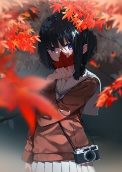 Rule 34 | 1girl, black hair, blurry, blurry foreground, branch, brown sweater, camera, covered mouth, day, depth of field, hair over shoulder, hand up, highres, holding, holding leaf, leaf, long hair, maple leaf, neku (neku draw), original, outdoors, pleated skirt, purple eyes, sailor collar, shirt, skirt, solo, sweater, white sailor collar, white shirt, white skirt