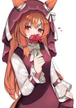 Rule 34 | 1girl, absurdres, animal ears, blush, bow, breasts, brown hair, brown veil, casual, commentary request, dress, ears through headwear, floral print shirt, flower, hair between eyes, heart, highres, holding, holding flower, horse ears, horse girl, horse tail, long hair, long sleeves, looking at viewer, multicolored hair, pinafore dress, red dress, red eyes, red flower, red vest, shirt, simple background, sleeveless, sleeveless dress, solo, spider lily, still in love (casual) (umamusume), still in love (umamusume), streaked hair, tail, umamusume, veil, vest, wakaraaan, white background, white bow, white shirt, white streaks