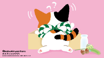 Rule 34 | ?, acorn, animal focus, bottle, box, calico (pattern), calico cat, cat teaser, commentary request, confused, easter egg, egg, from behind, kabukinyantaro, milk bottle, no humans, no lineart, official alternate costume, official art, pawpads, pink background, sanrio, second-party source, solo
