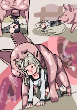 1boy 1girl absurdres ahegao all_fours animal_ears bestiality blush closed_eyes clothed_sex highres imminent_penetration kemonomimi_mode long_hair lying myuri_(spice_and_wolf) penis pig pointy_ears pussy rape red_eyes school_uniform sleeping spice_and_wolf surprised tail thighhighs tongue tongue_out torn_clothes vaginal x-ray