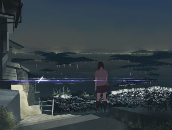 Rule 34 | 1girl, black hair, city, city lights, cityscape, crane (machine), female focus, from behind, grass, hill, lamppost, lens flare, night, original, railing, shiira, skirt, solo, stairs, standing, water, wind