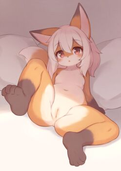 1girl :o animal_ears barefoot blush commentary_request completely_nude double-parted_bangs fox_ears fox_girl fox_tail full_body furry furry_female hair_between_eyes loli looking_at_viewer lying matsuu_(akiomoi) medium_hair navel nude on_back on_bed open_mouth original pillow pussy red_eyes solo spread_legs tail white_hair