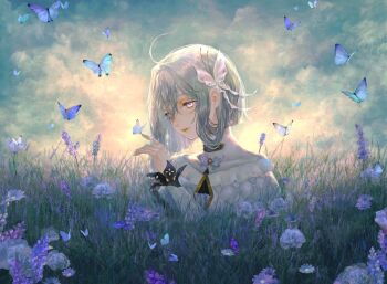 Rule 34 | 1girl, ahoge, backlighting, bug, butterfly, butterfly hair ornament, butterfly on hand, ciel (kamitsubaki studio), commentary request, dress, field, flower, flower field, hair ornament, highres, hyacinth, insect, kamitsubaki studio, light smile, purple flower, shirone (coxo ii), short hair, sky, solo, upper body, white eyes, white hair