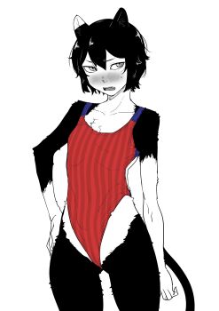 absurdres animal_ears blush breasts cat_ears cat_girl cat_tail competition_swimsuit dungeon_meshi highres izutsumi kaiman_garupan one-piece_swimsuit red_one-piece_swimsuit red_swimsuit short_hair small_breasts solo standing swimsuit tail